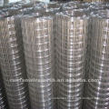 high quality gi wire mesh(factory +manufacture)